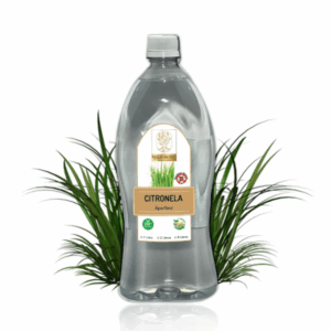 Hidrolato de Citronela Shin - 1 litro