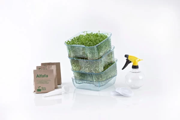 Kit Para Produção De Brotos Comestíveis com Três Bandejas - Image 5