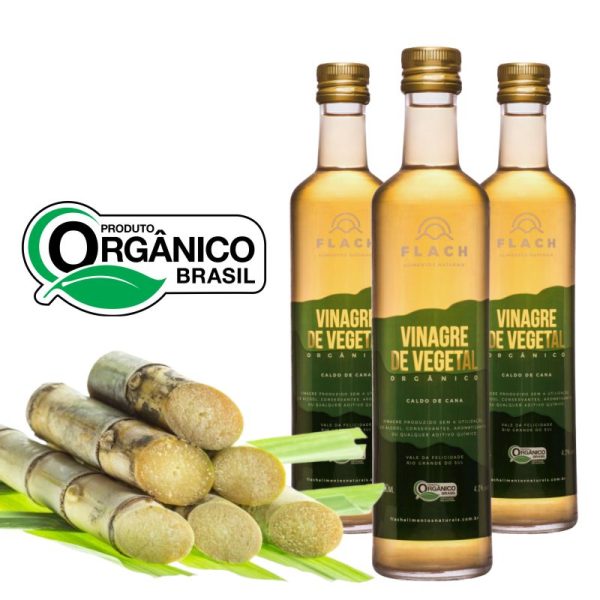Vinagre de Vegetal de Caldo de Cana - Orgânico Acidez 4,2% – Kit 3 Vidros de 500ml - Image 2