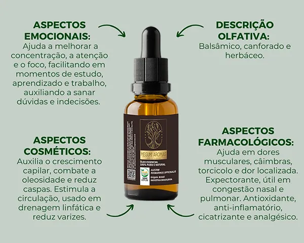 Óleo Essencial de Alecrim | 10ml | 100% Puro e Natural | Megumi Aromas - Imagem 2