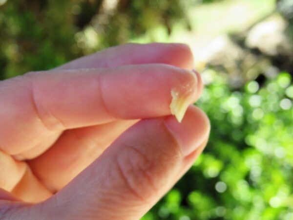 Unhas & Cutículas - Fortalecedor e Hidratante - 25g - Imagem 4