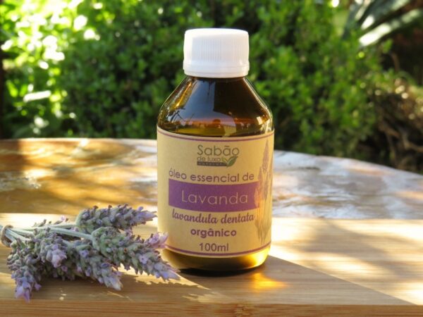 Óleo Essencial Lavanda Dentata - 100ml